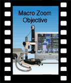 SE-Zoom