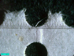 Filatelia (particolare)