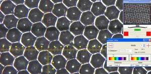 Cilindro anilox con luce coassiale e microscopio 2034-200 (220 linee/cm)