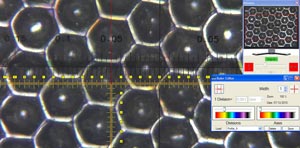 Cilindro anilox con luce coassiale e microscopio 2034-300 (220 linee/cm)