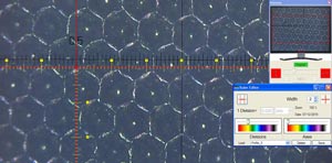 Cilindro anilox con luce coassiale e microscopio 2034-60 (60 linee/cm)