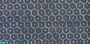 Cilindro anilox 140 linee/cm con luce coassiale e microscopio 2034-100