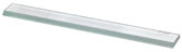 Glass scale
