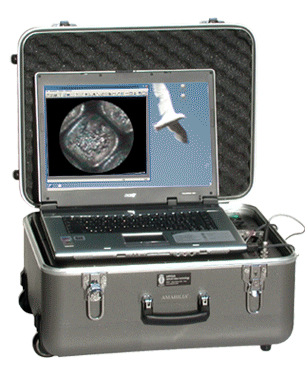Carrying Case Station ENDO