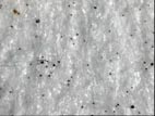 Fotocopia in carta bianca con tracce di toner (320X)