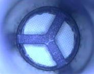Inside of plastic cap