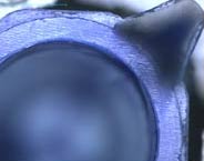 Inside of plastic cap